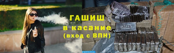 прущие грибы Верхний Тагил